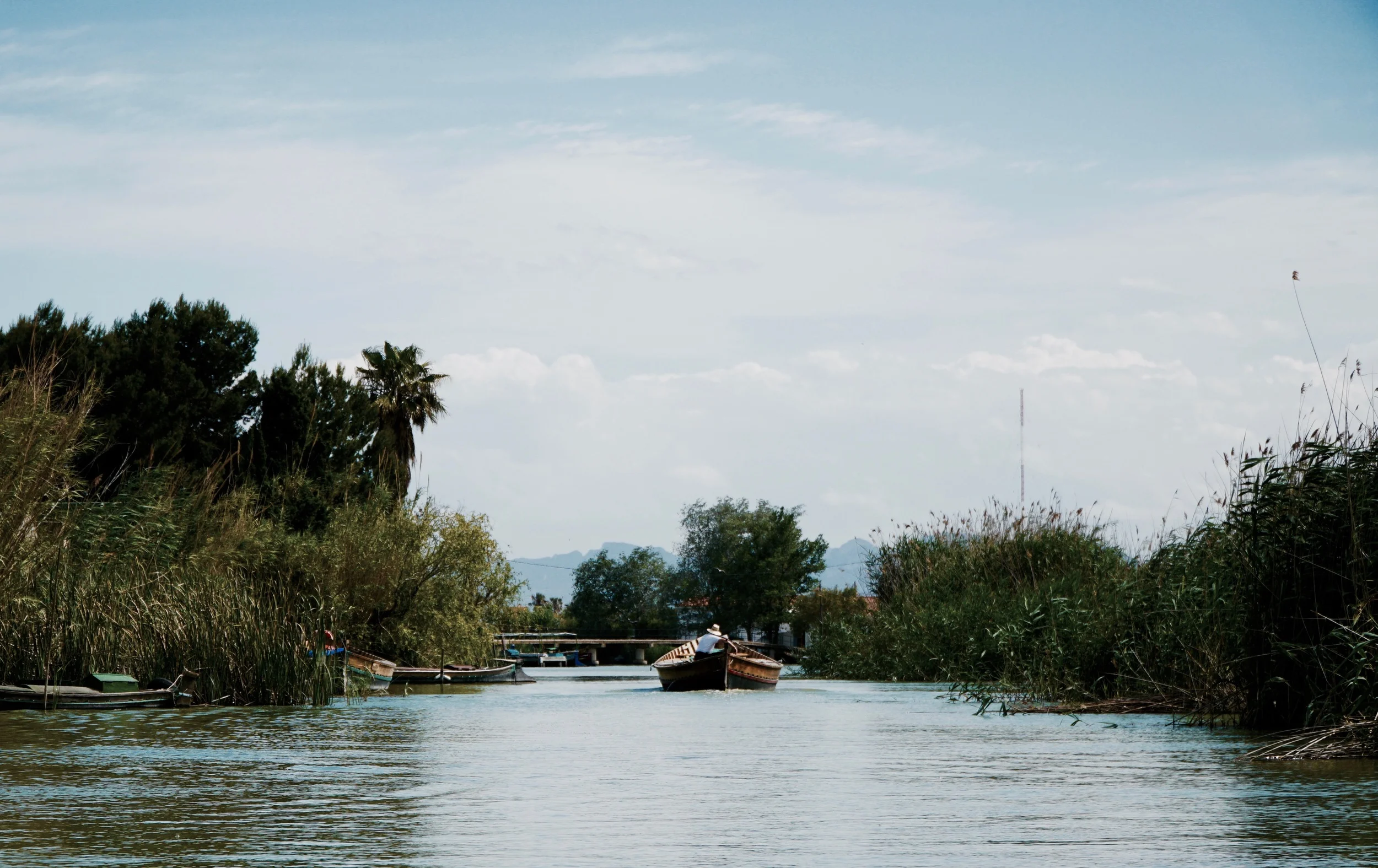 Albufera canals