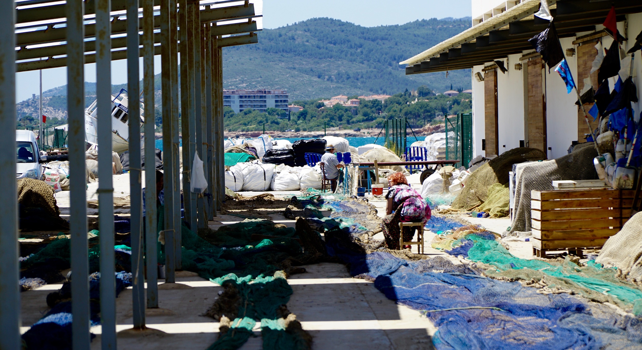 Old sea ladies and old sea nets