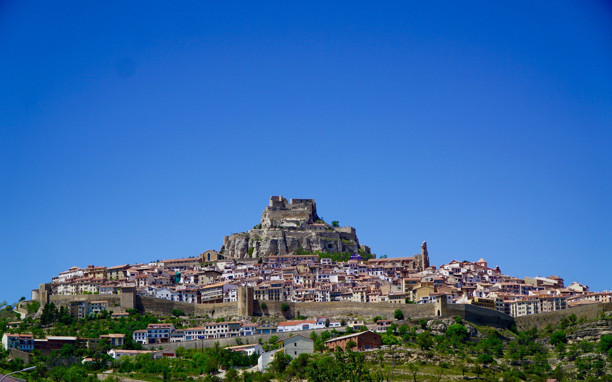 Morella