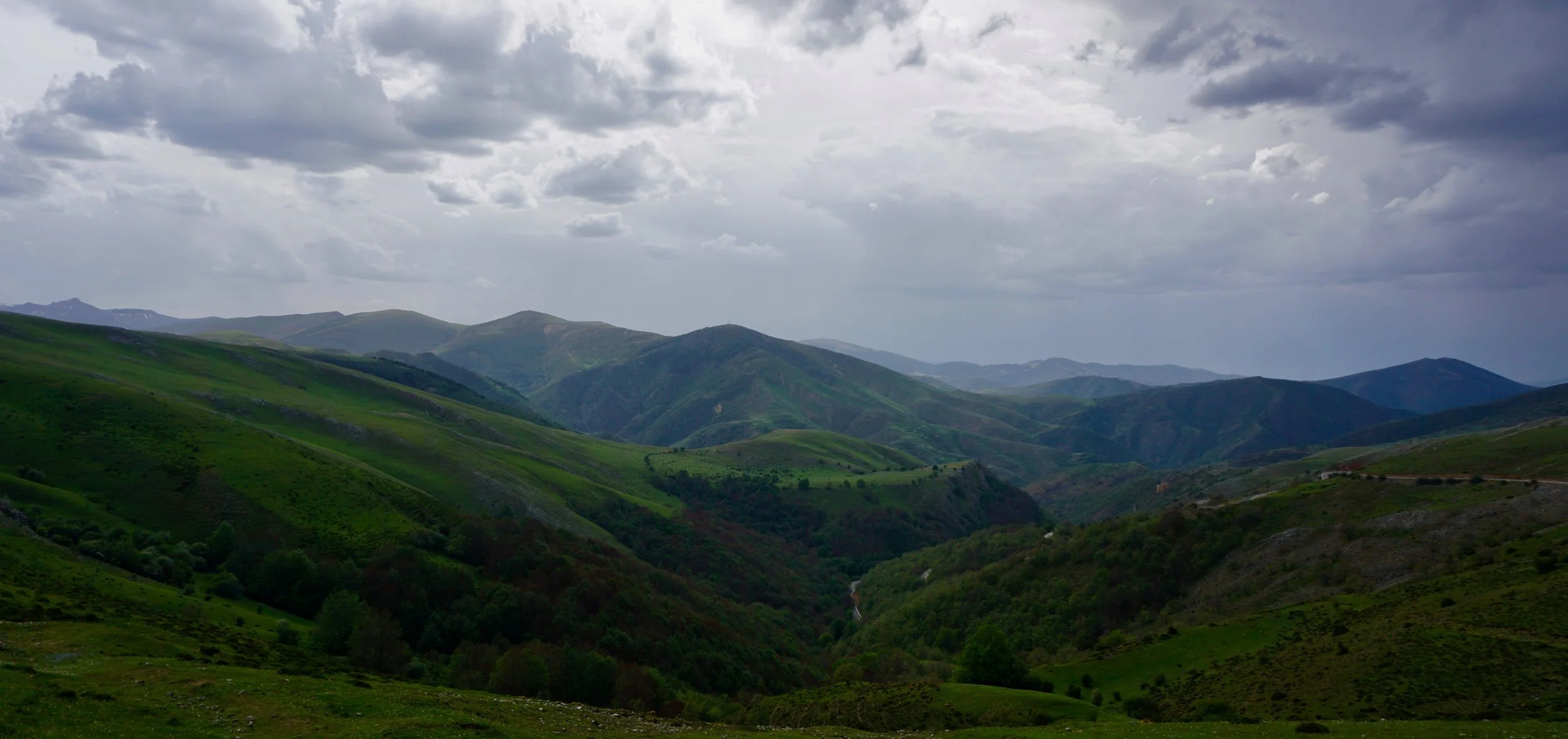 DSC08848.jpg