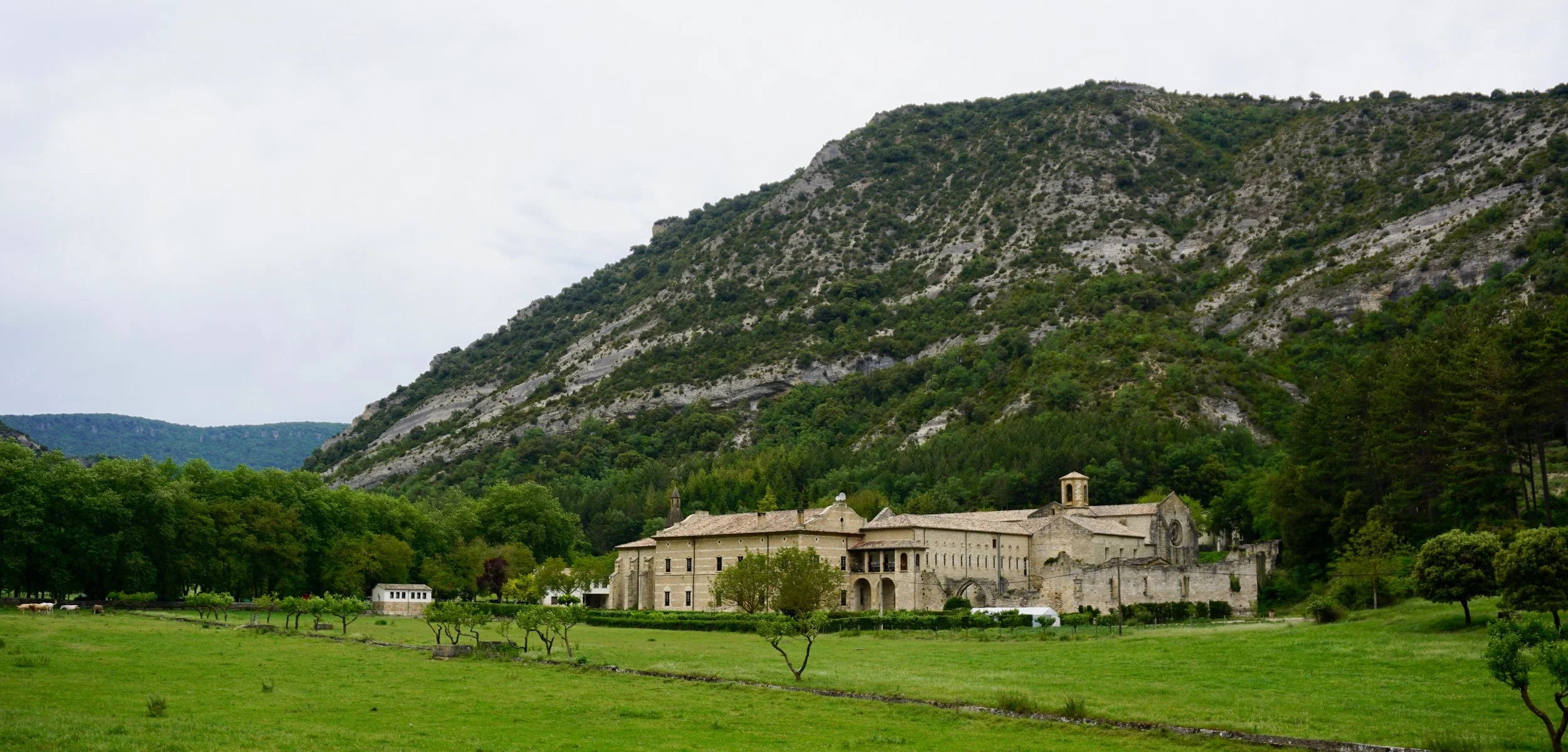 DSC09050.jpg