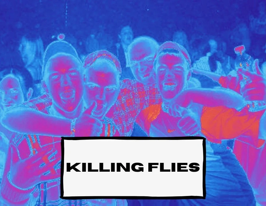 KILLING FLIES.jpeg