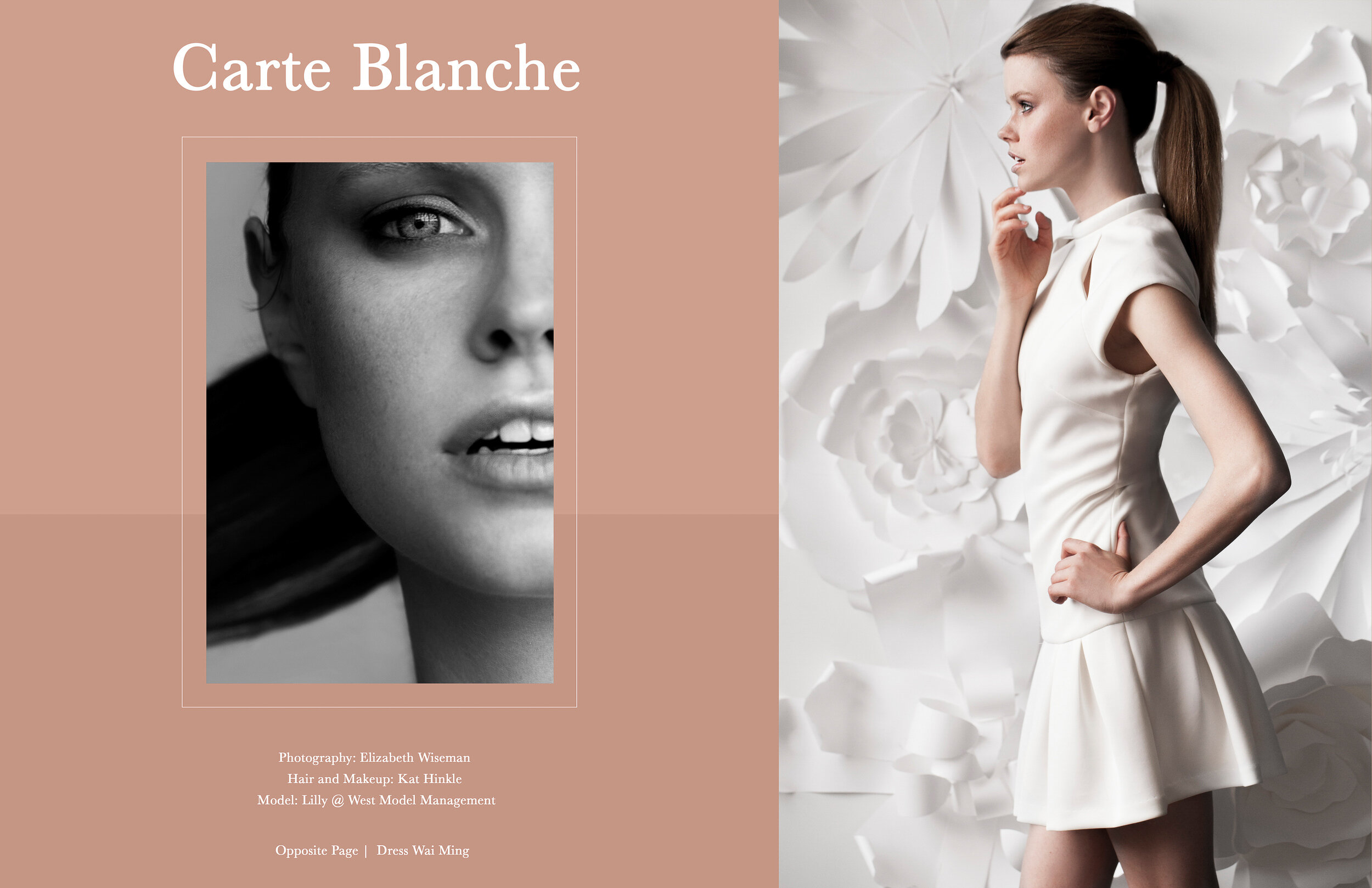 editorial Fashion photography by Elizabeth Wiseman of Knoxville Tennessee fashion and commercial studio photographers