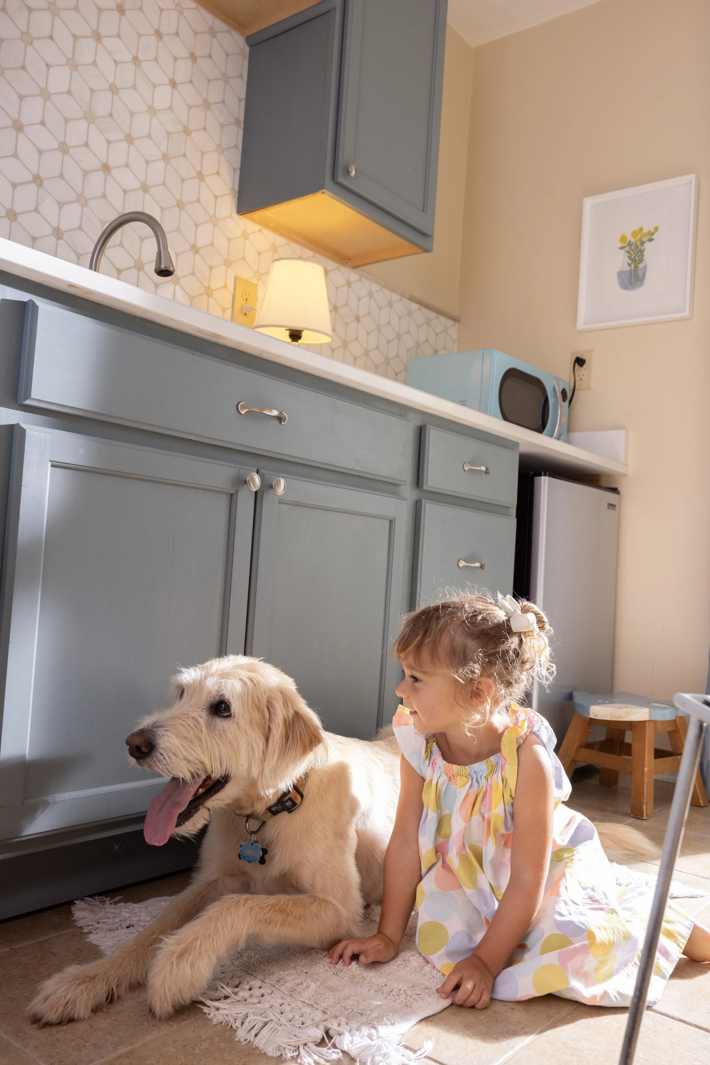 DOGS_3C2A5730-2.jpg