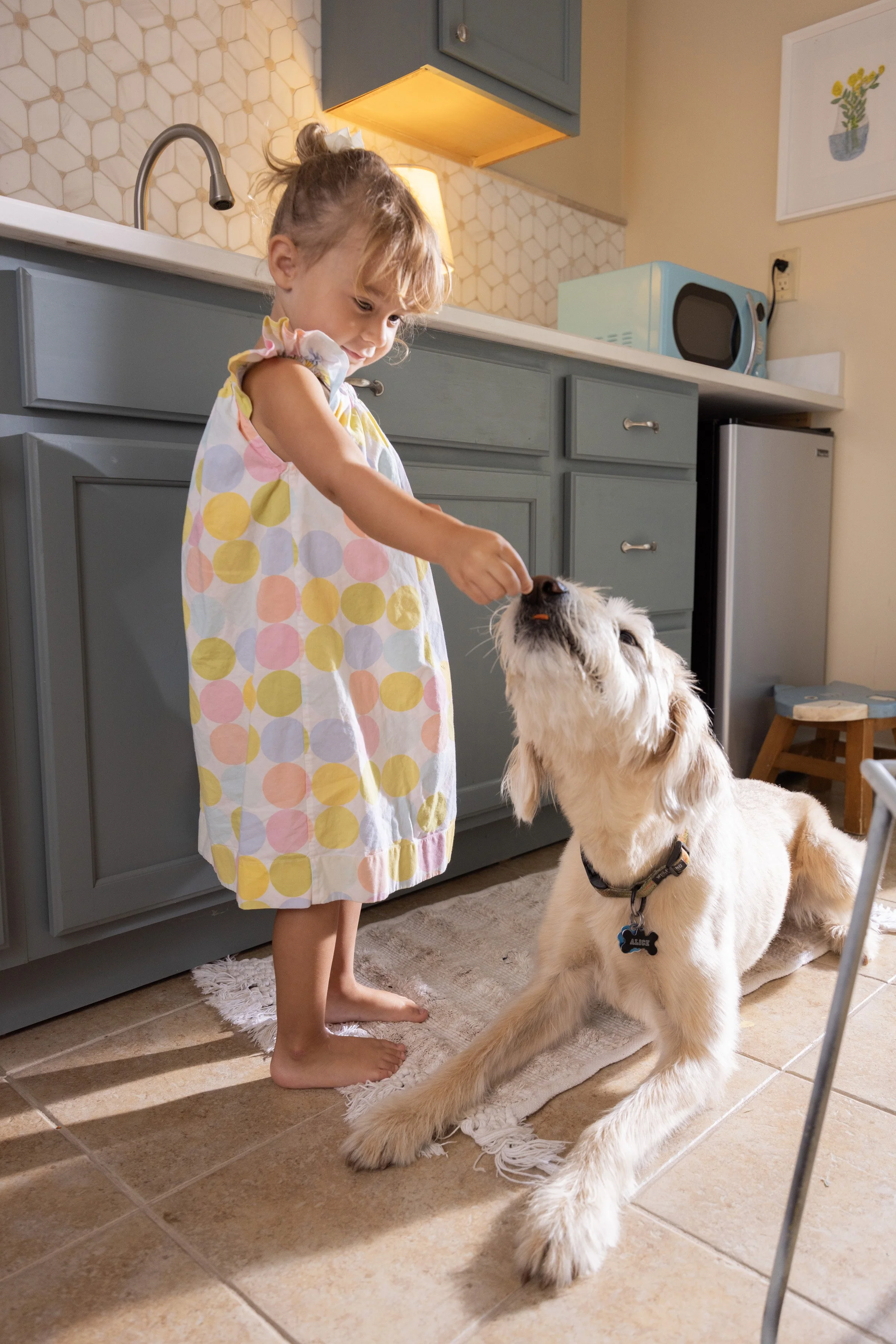 DOGS_3C2A5751-2.jpg