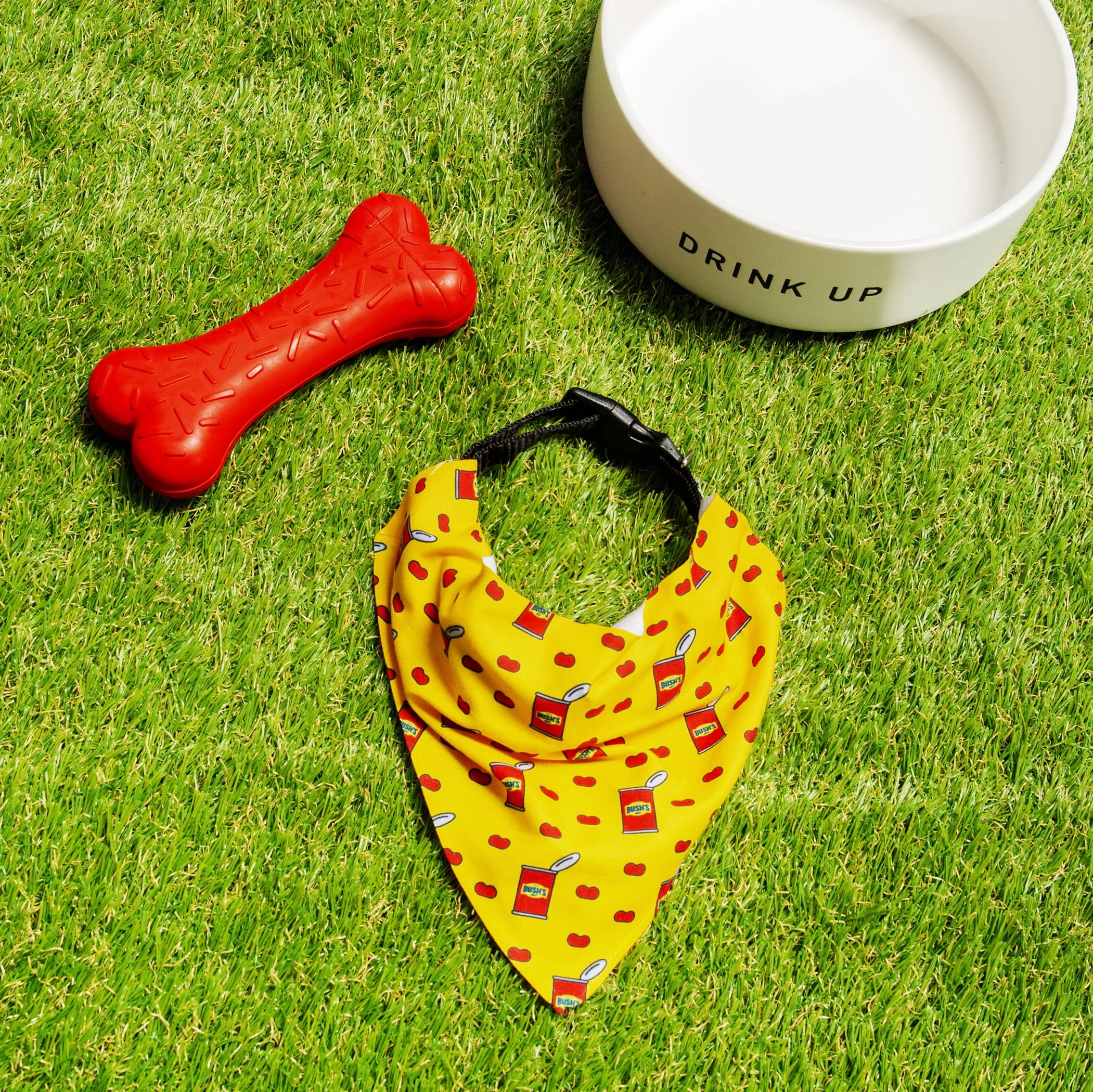 Bandana_1x1_0497.jpg