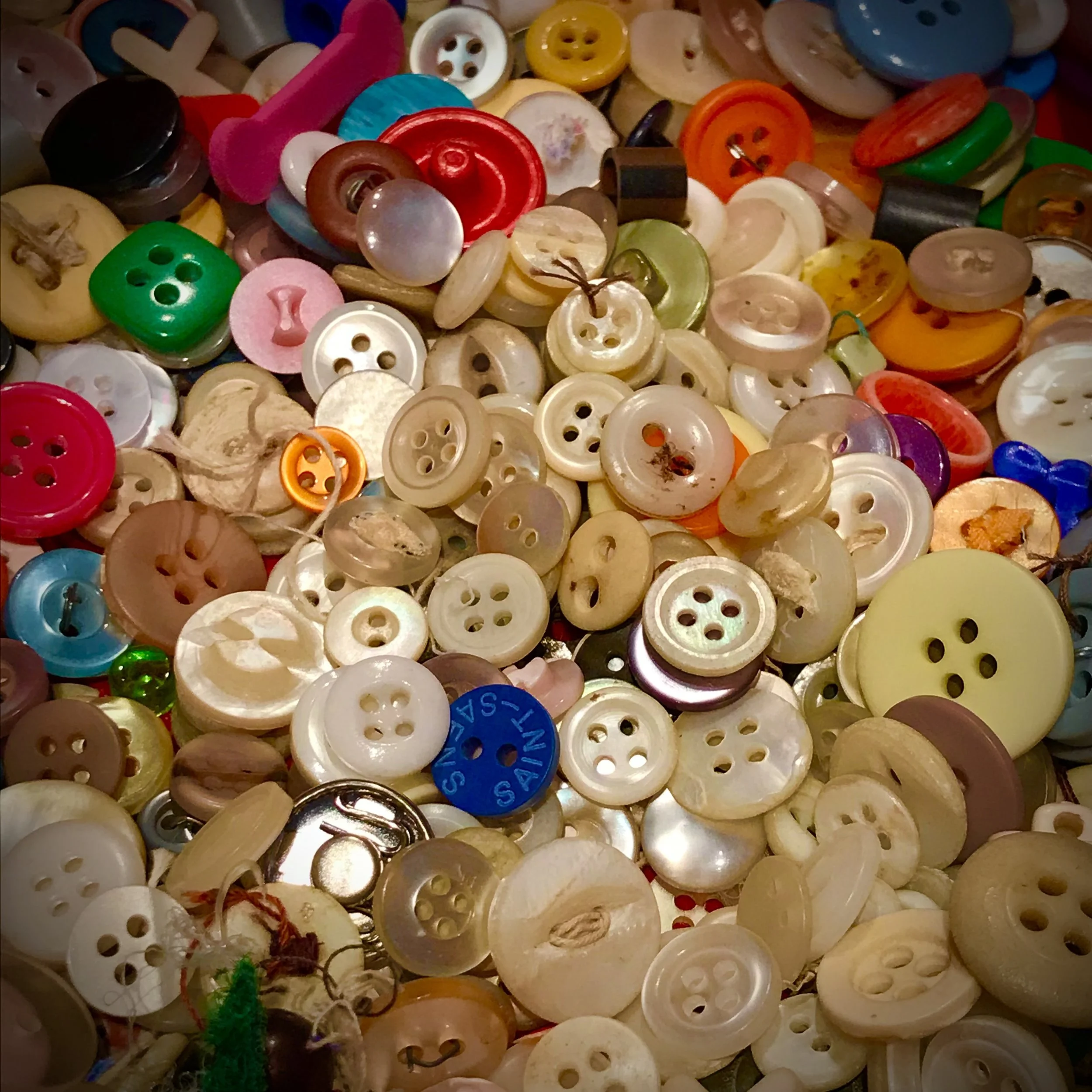 buttons in the bin .jpg