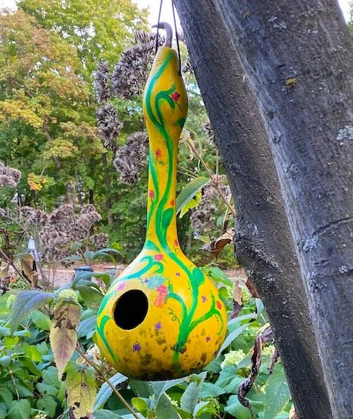 Amy birdhouse gourd.jpg