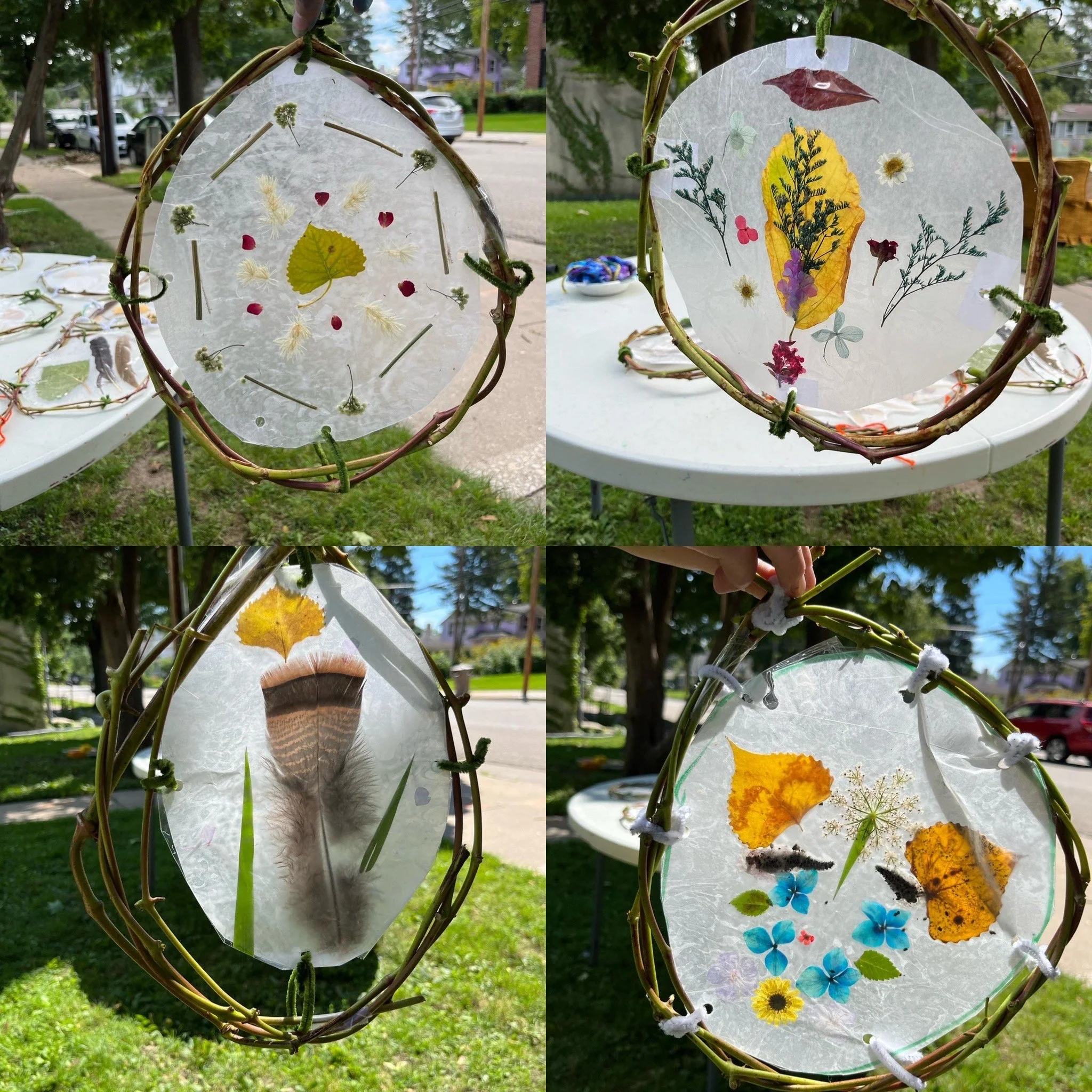 nature sun catchers.JPG