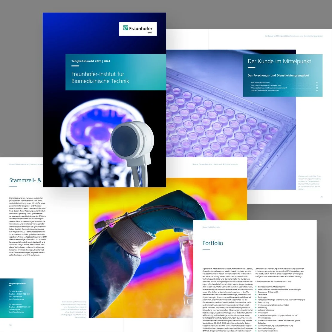 Satz Jahresbericht Fraunhofer IBTM
