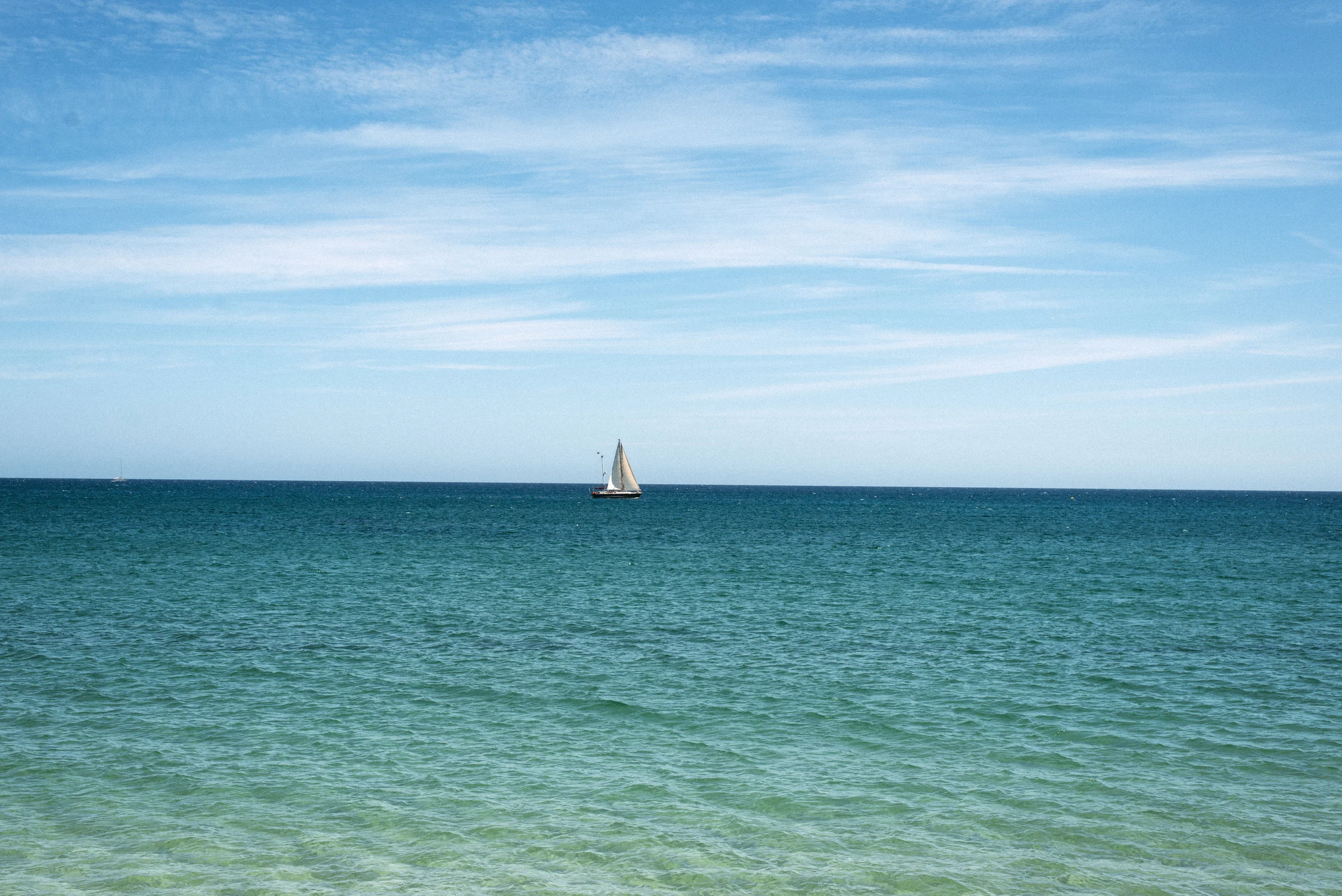 DSC_1233.jpg