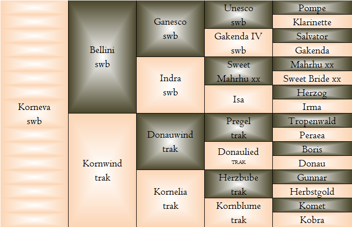 kornevastam.png