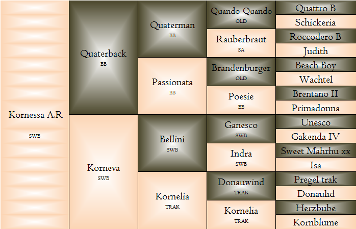 kornessastam.png