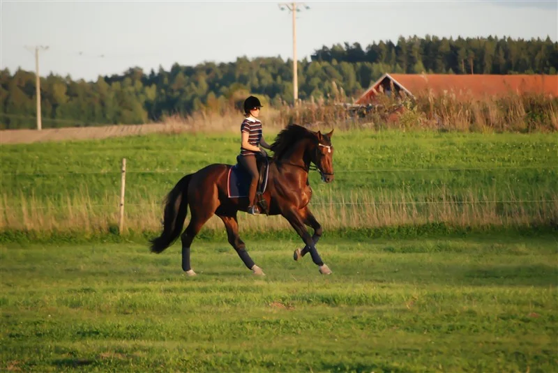 2011-09-10_18.49.55.jpg