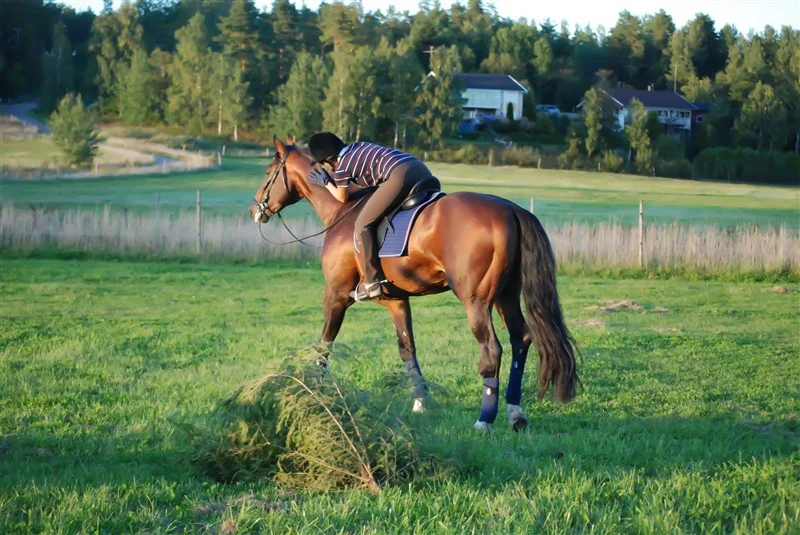 2011-09-10_18.53.22.jpg
