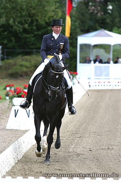  Cappuccino 16, godkänd hingst e. Classiker&nbsp;u. Moster Fantastica 