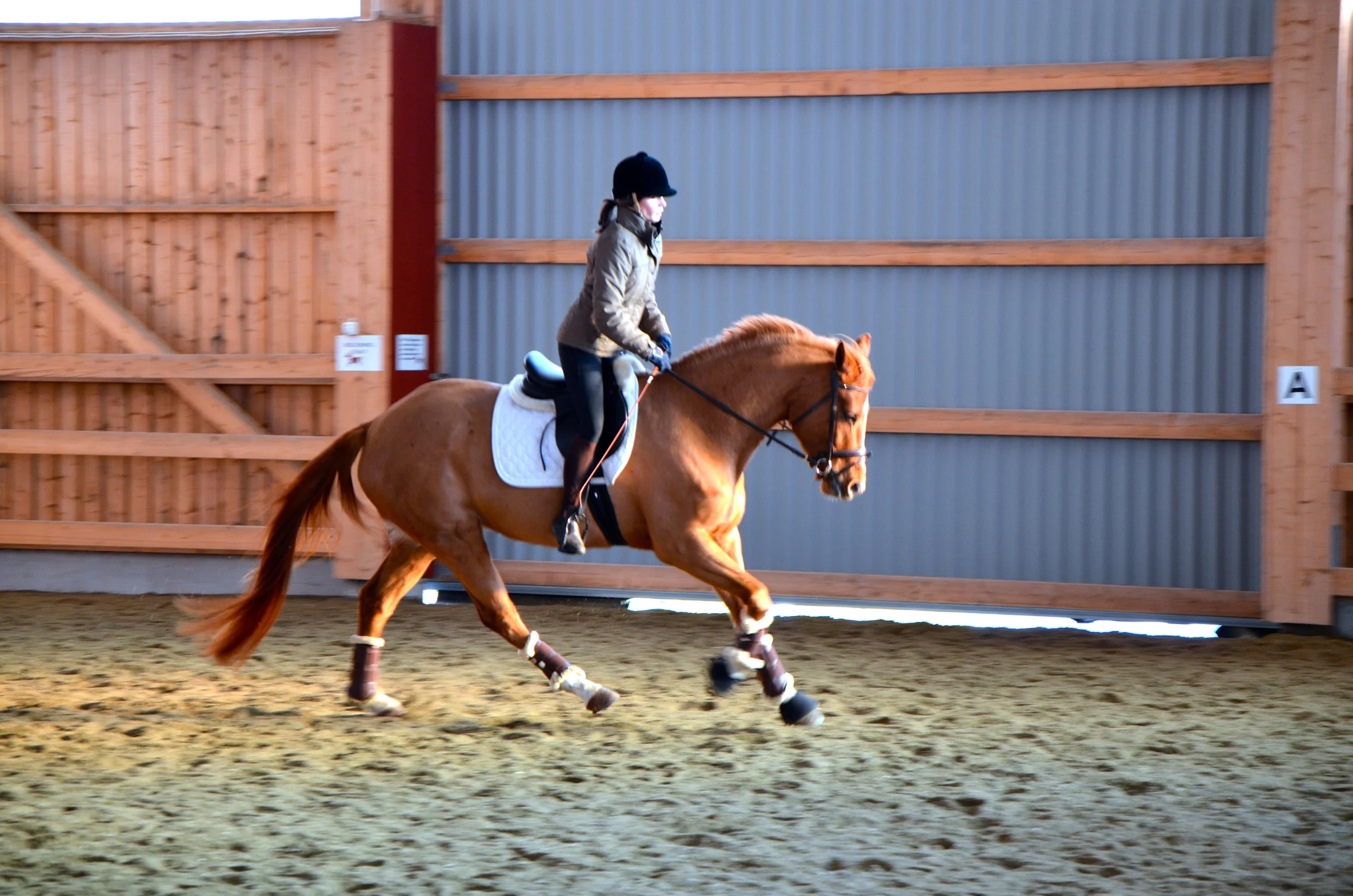 Kornessa 3 år, vintern 2012