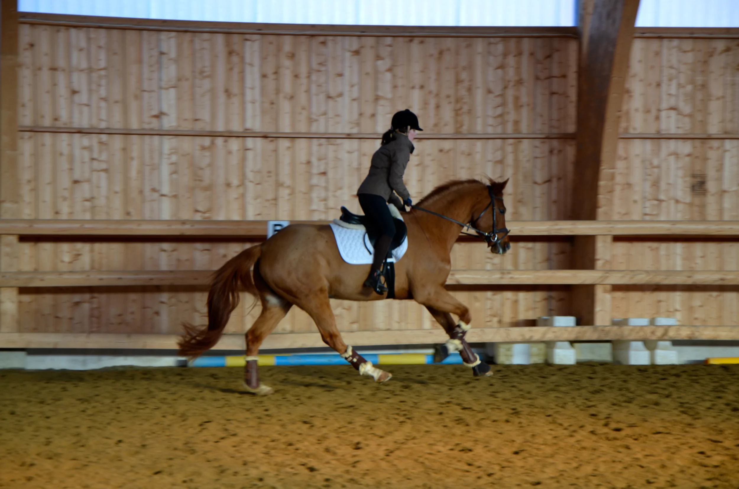 Kornessa 3 år, vintern 2012