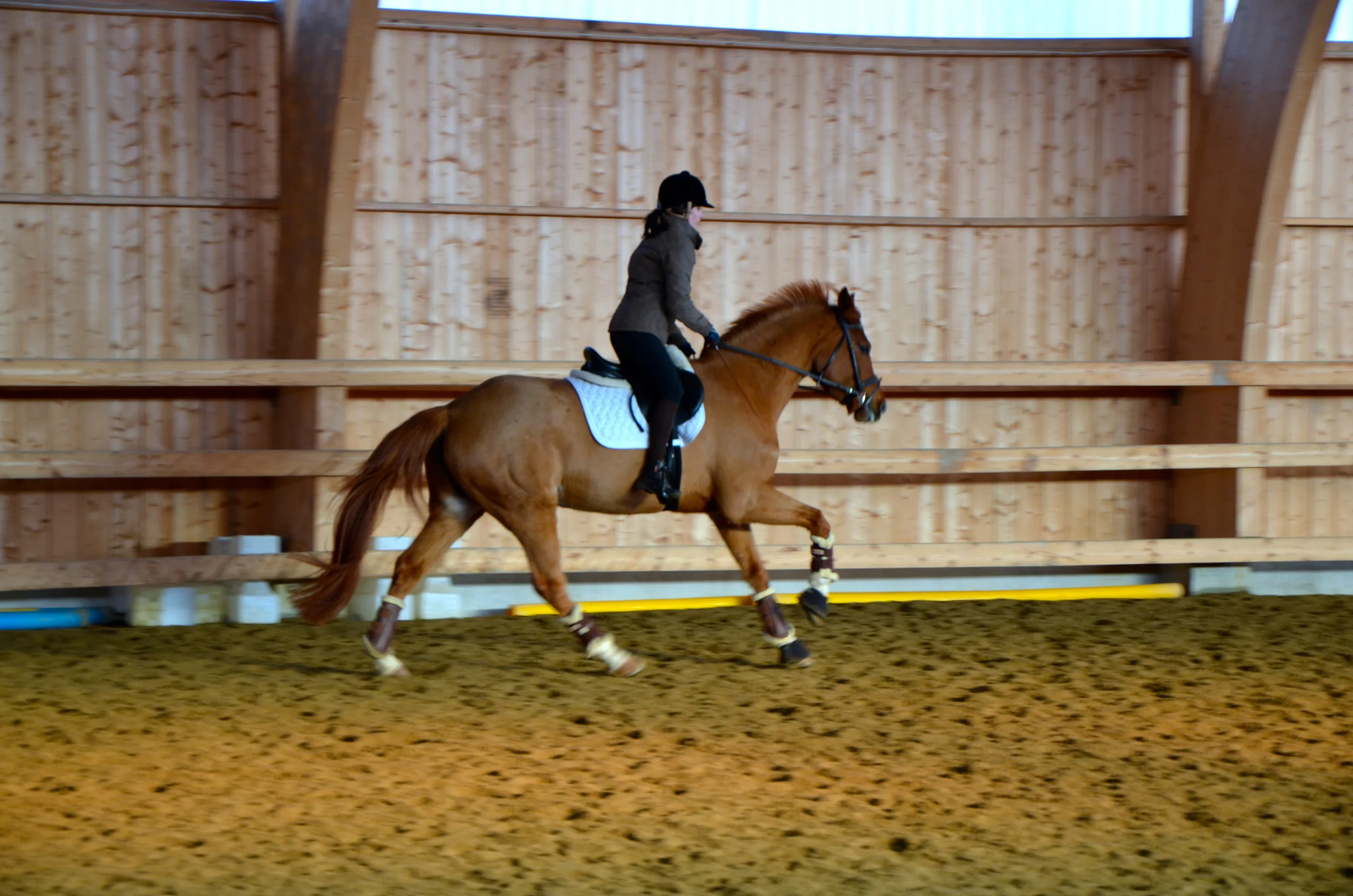 Kornessa 3 år, vintern 2012
