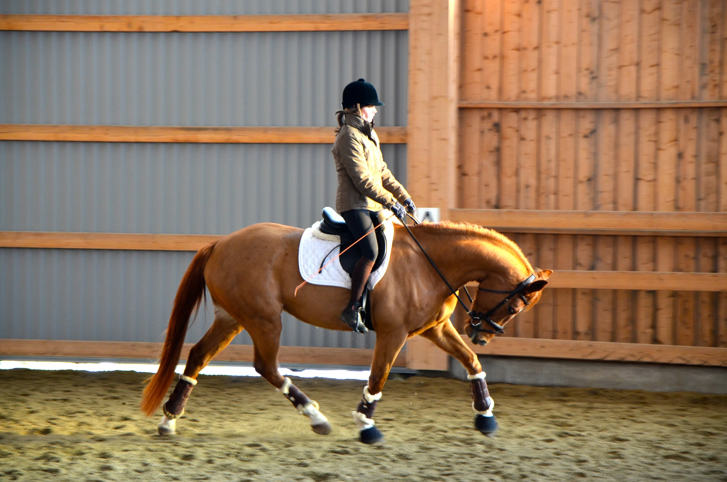 Kornessa 3 år, vintern 2012