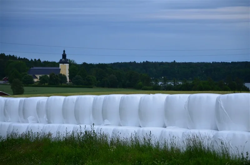 DSC_0605.jpg