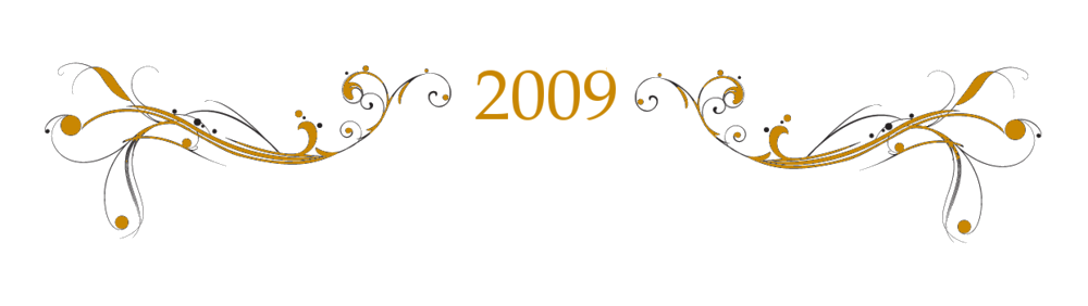 2009.png