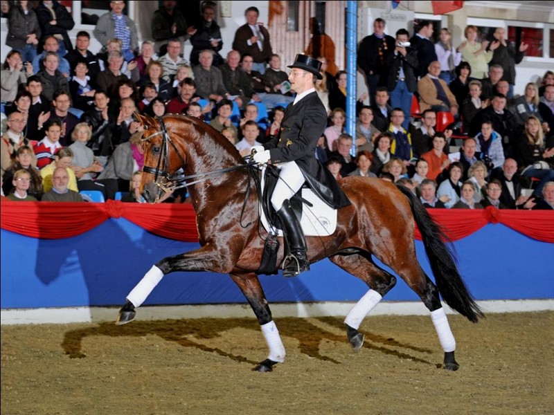  Pentagons Peron, godkälnd hingst e. Peron u. Farina, helsyster till Don Schufro 