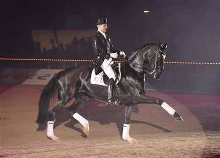 Världsmästaren Uno Donna Unique e Blue Hors Don Schufro