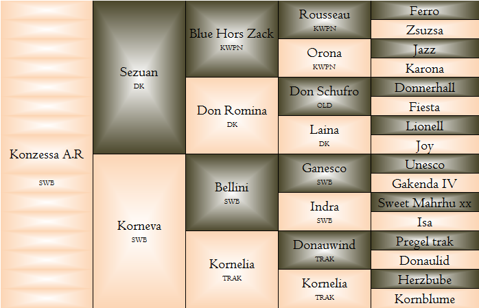 konzessa.png