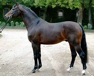 Florestan I