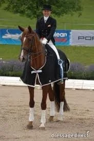 Danska mästare och Grand Prix stoet Donna Ansana e. Blue Hors Don Schufro
