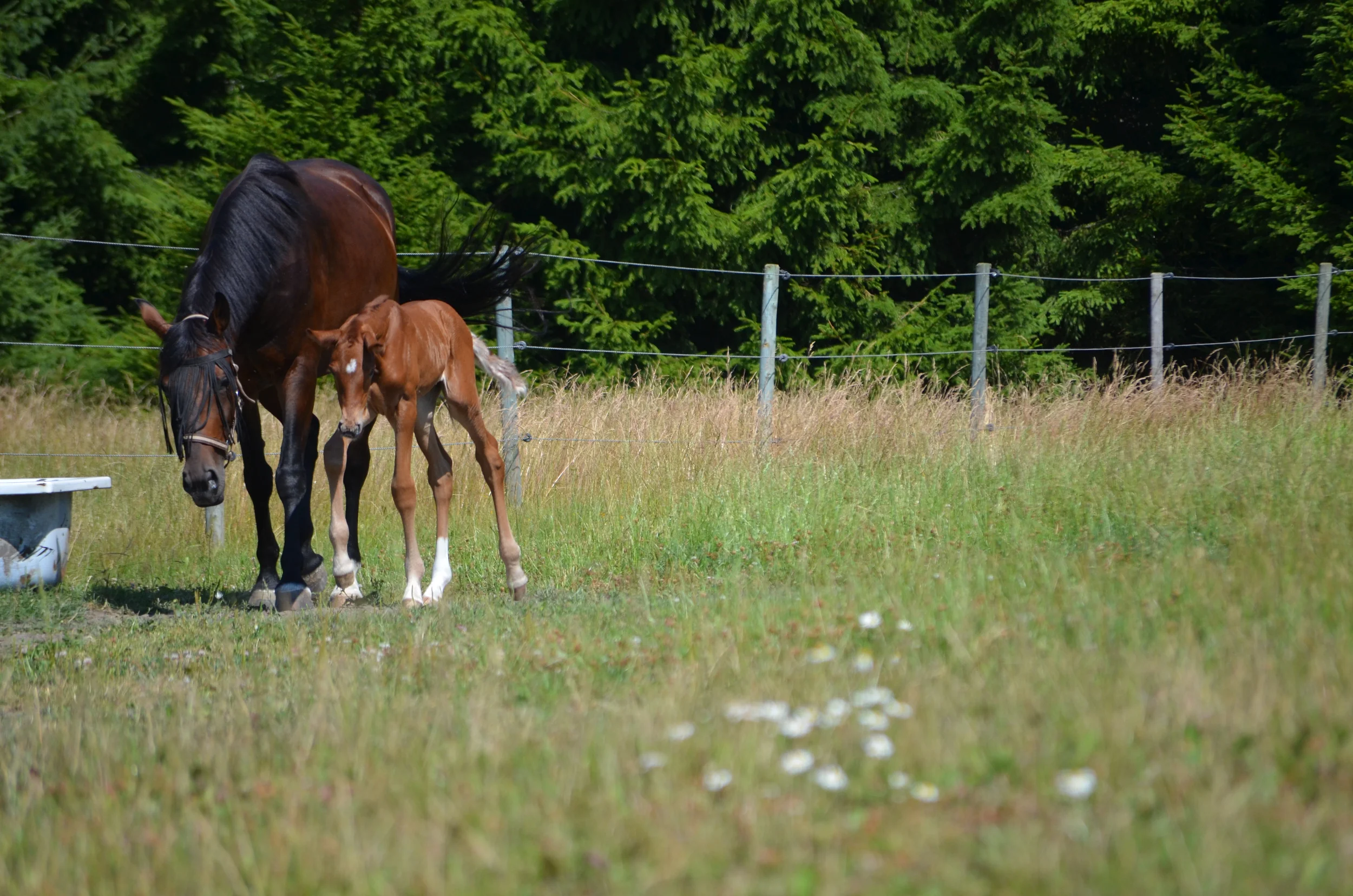 DSC_5984.jpg