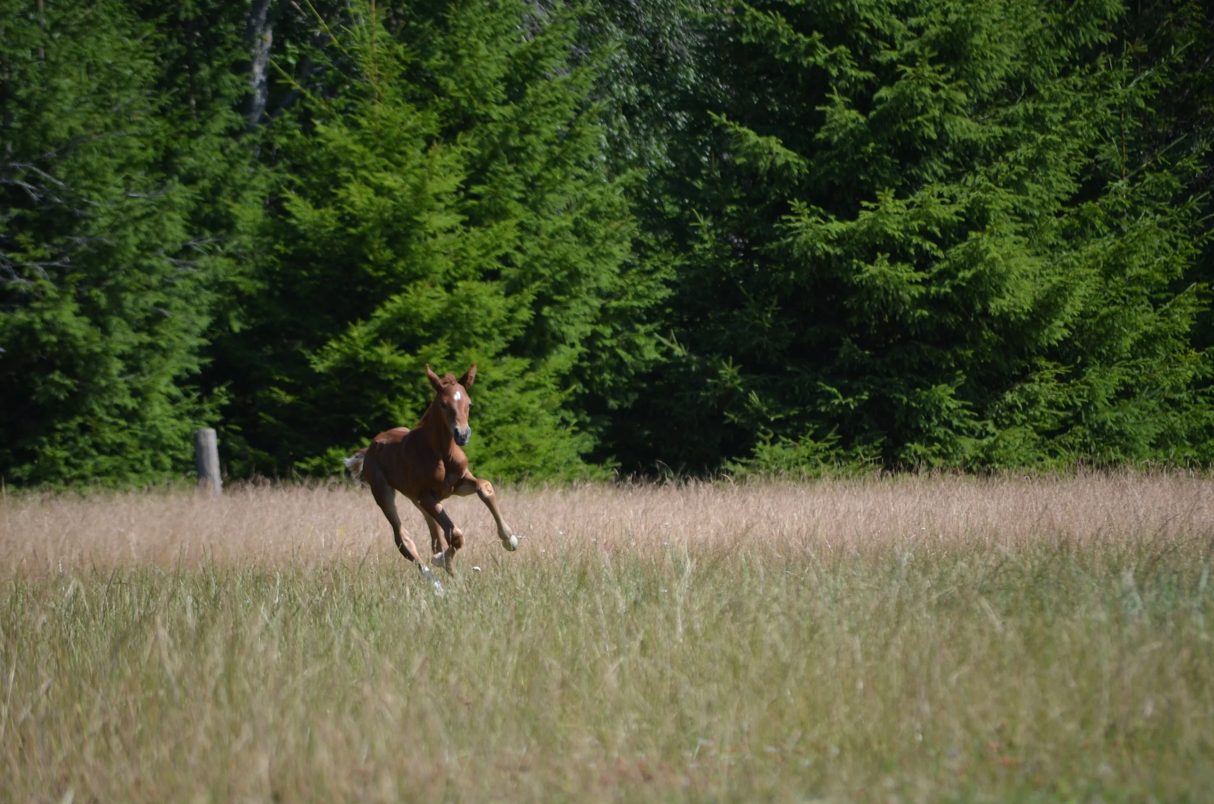 DSC_6023.jpg