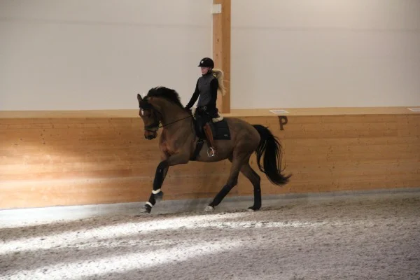 Foto: Sanna Nilsson Dressyr