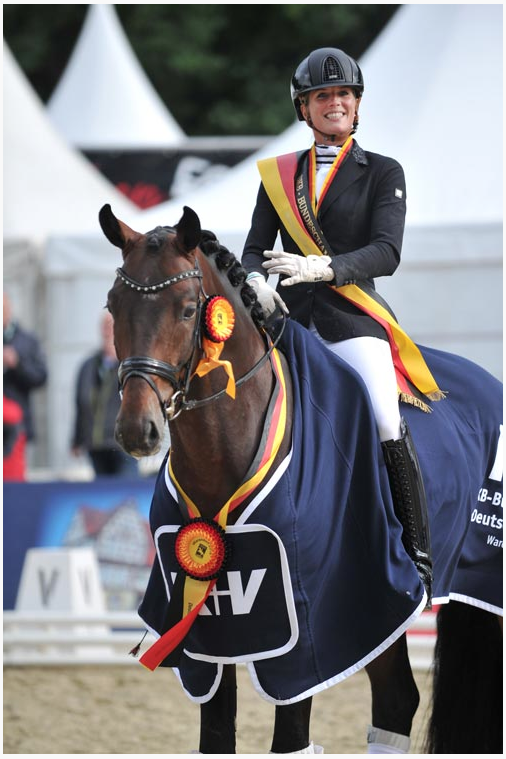 Foto/Photo: Wegener/Equitaris