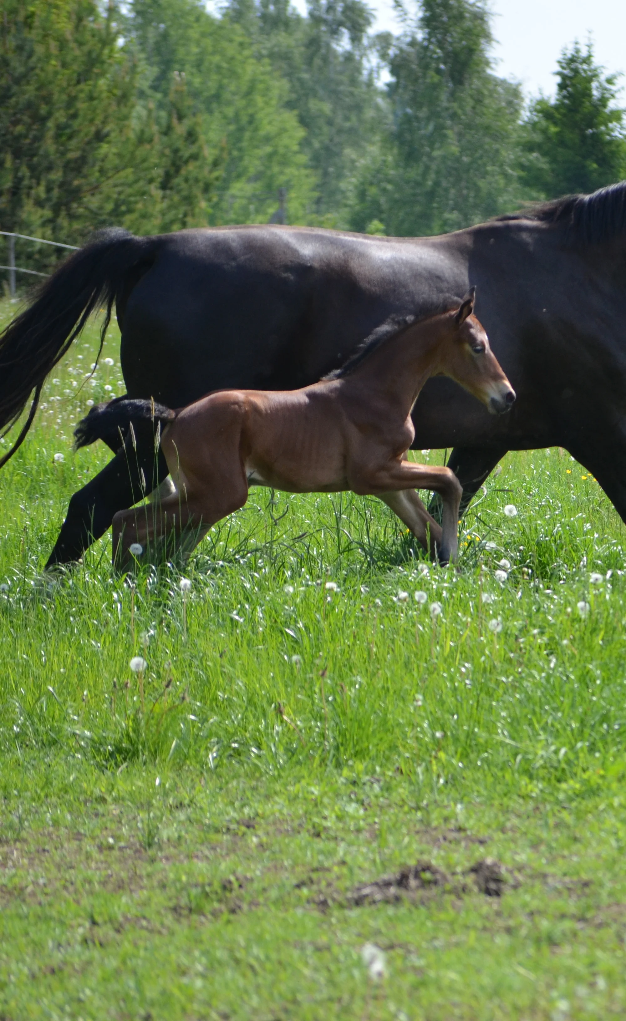 DSC_7104.jpg