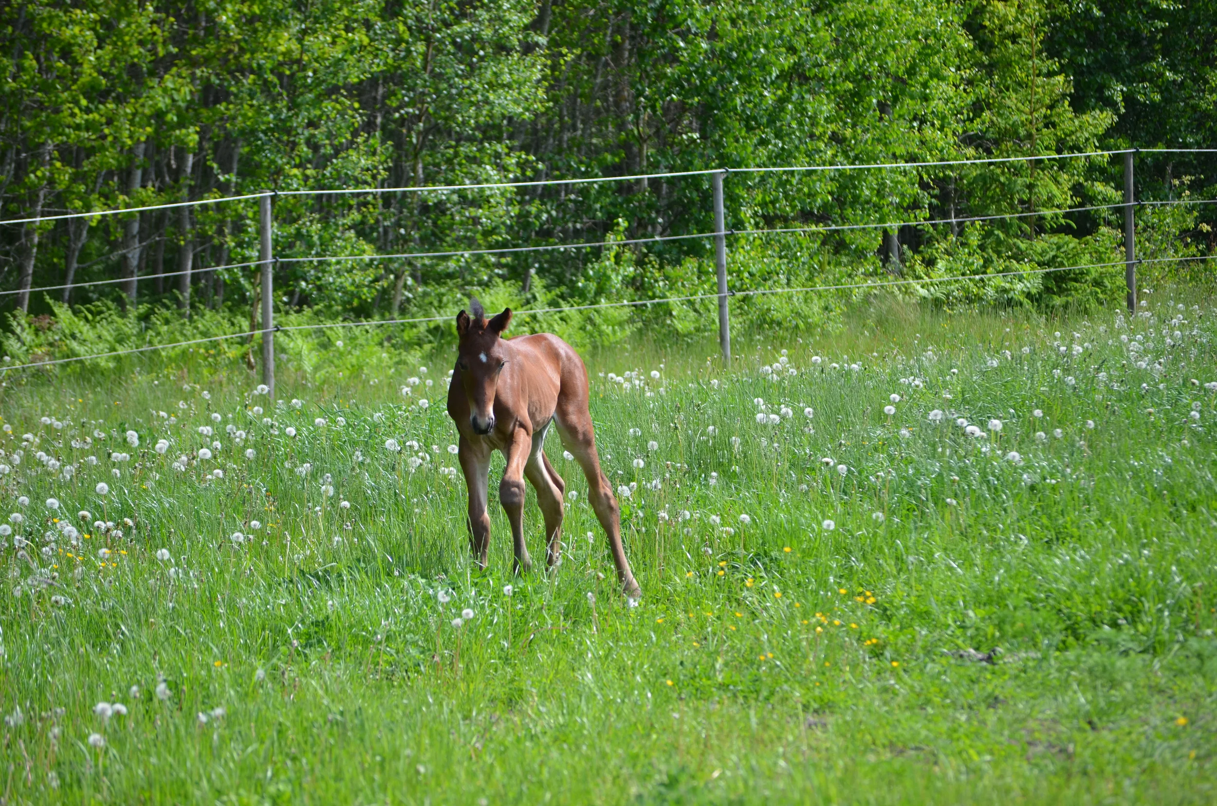 DSC_7122.jpg