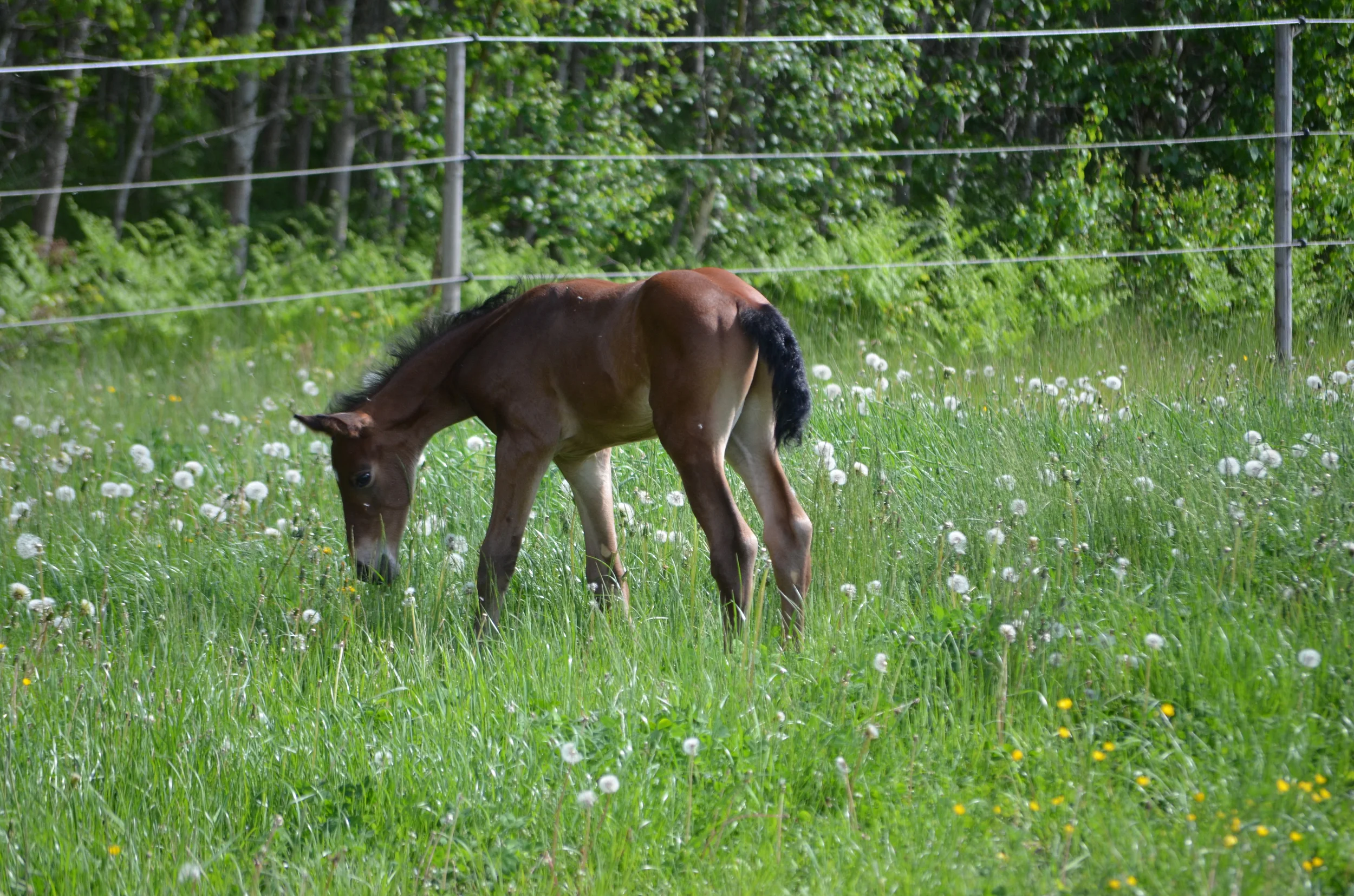 DSC_7180.jpg