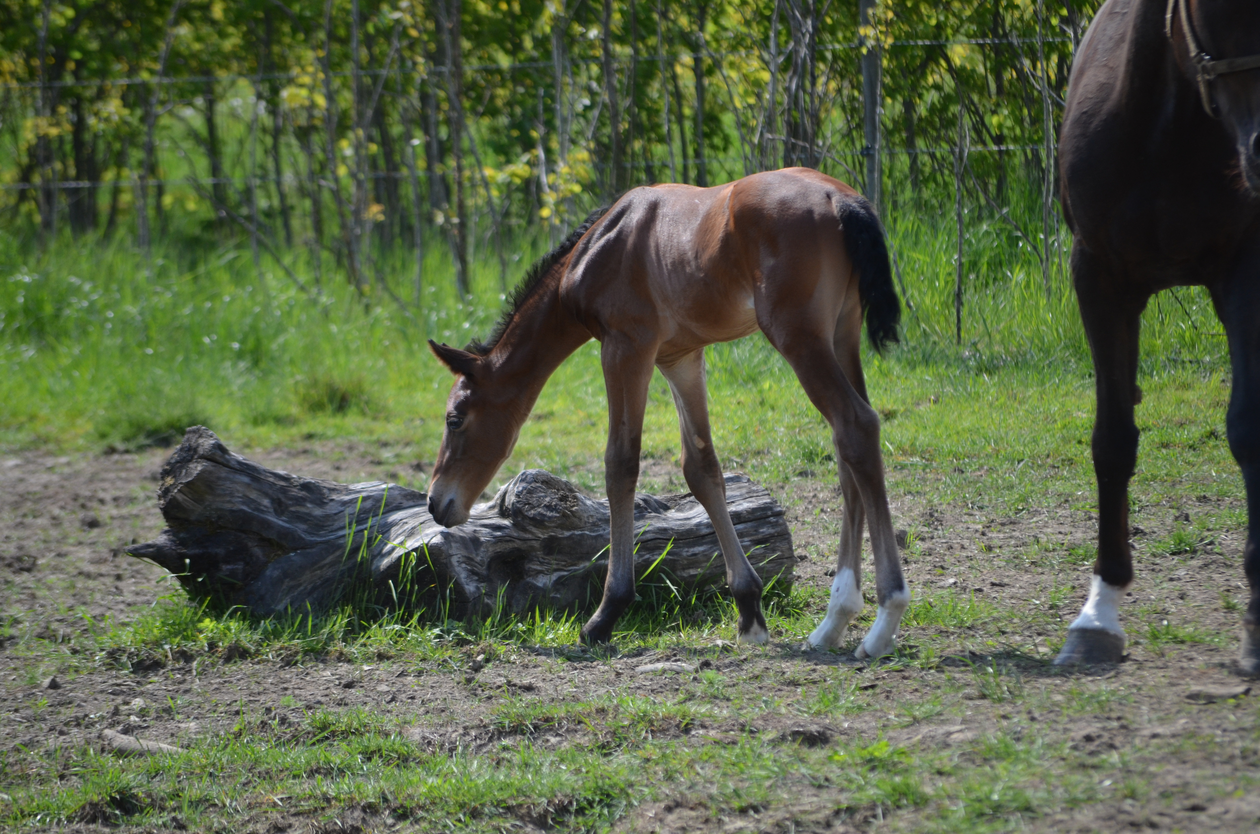 DSC_7218.jpg