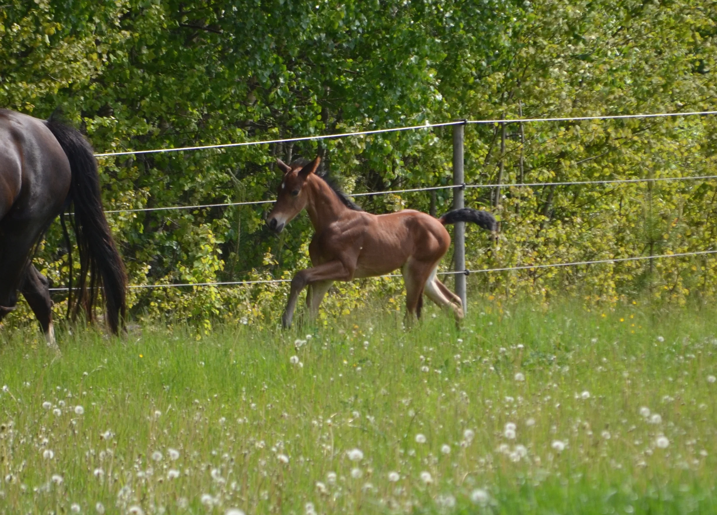 DSC_7272.jpg