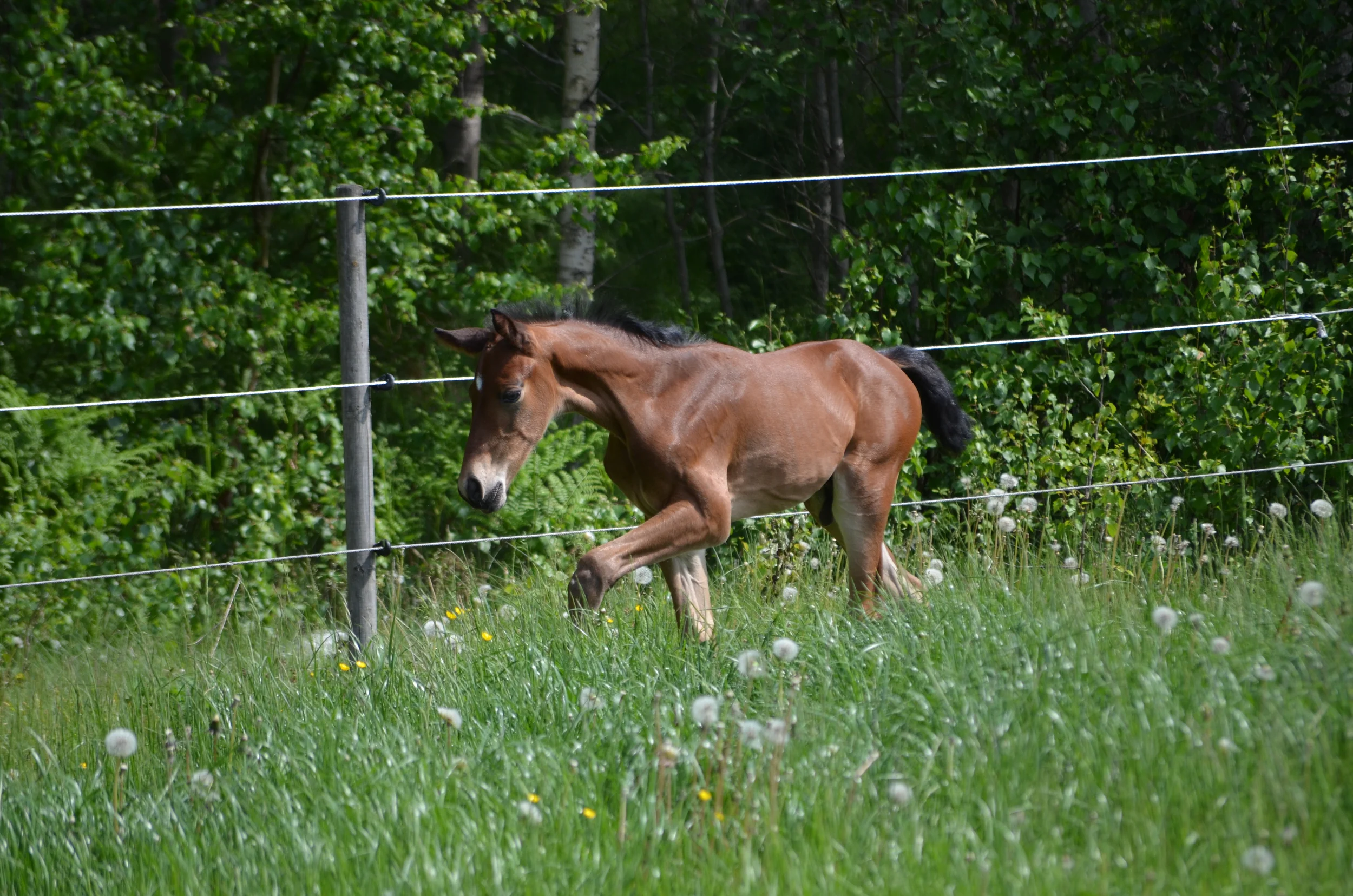 DSC_7420.jpg