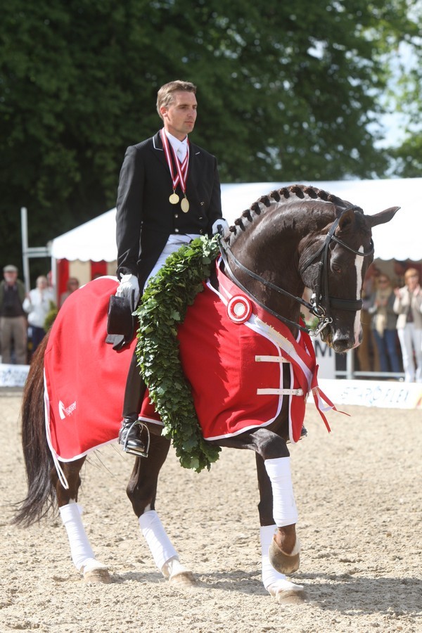 Blue Hors Don Schufro