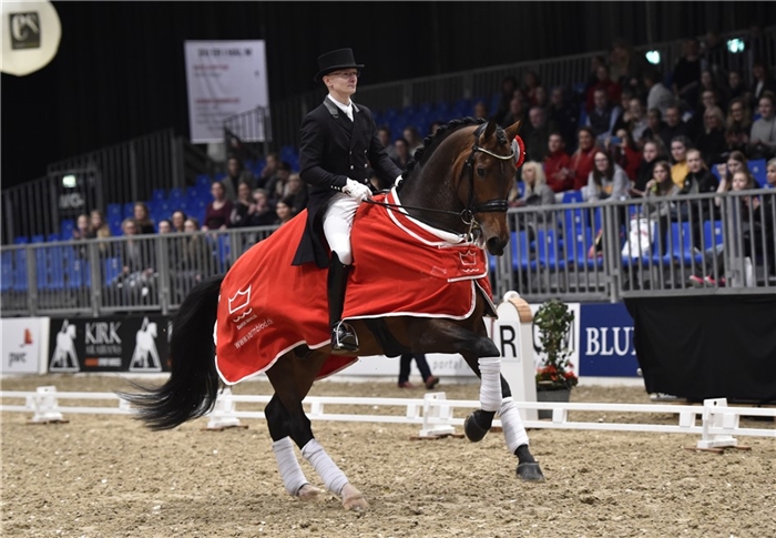 Foto: Blue Hors