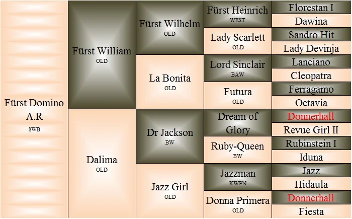 Furst Domino.jpg