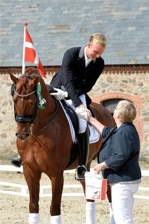 Blue Hors Veneziano godkänd hingst e. Vivaldi u. Fabina, helsyster till Don Schufro