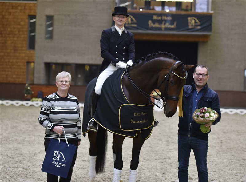 Blue hors Zatchmo, godkänd hingst e. Blue Hors Zack u. Jazz Primeras moster Fiesta`s Girl, helsyster till Don Schufro