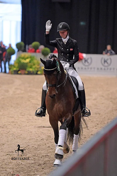 Blue hors Zatchmo, godkänd hingst e. Blue Hors Zack u. Jazz Primeras moster Fiesta`s Girl, helsyster till Don Schufro