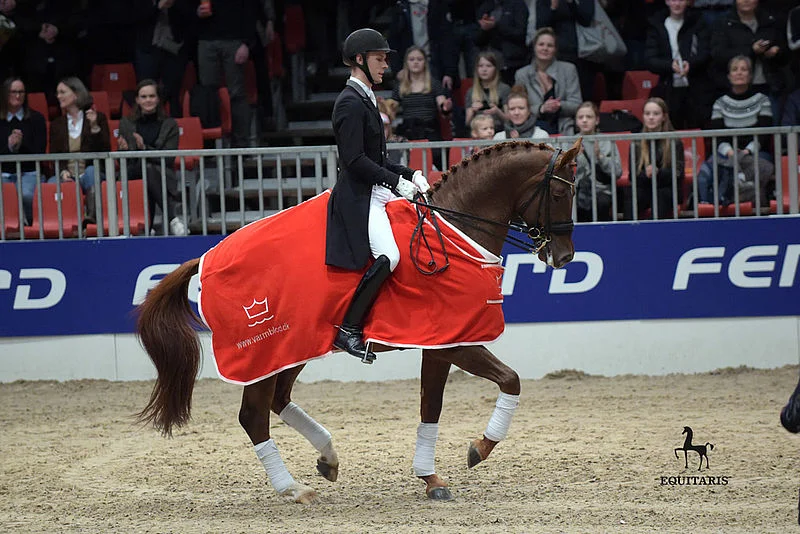 csm_Blue_Hors_Veneziano_Daniel_Bachmann_Andersen_Herning_18_TBE_1389_0f140c66f4.jpg