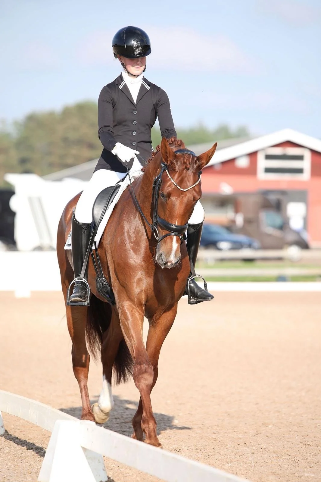 FALSTERBO 2024