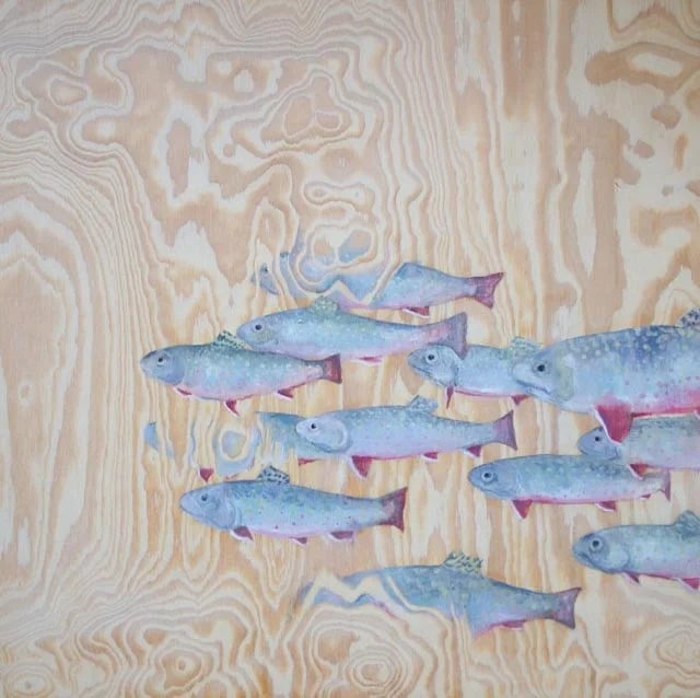 Trout Dreaming II